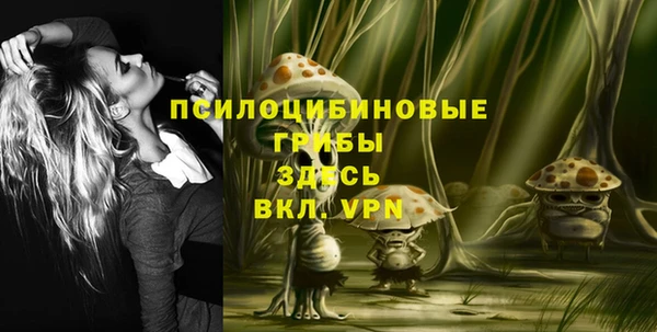 прущие грибы Михайловка