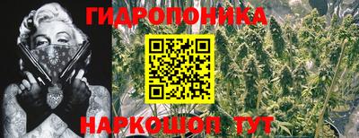 спайс Дубна
