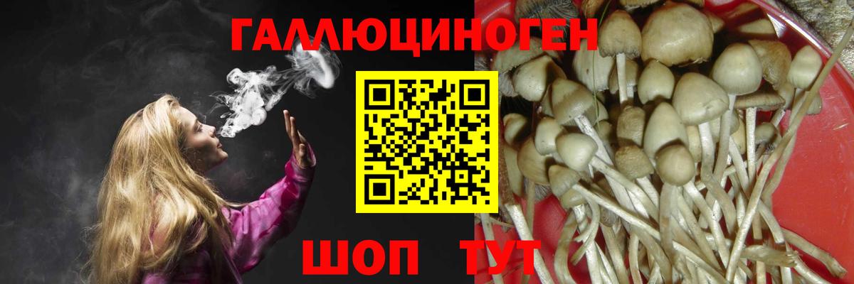 купить наркоту  Псилоцибиновые грибы Psilocybe  Вход с VPN  Ухта 